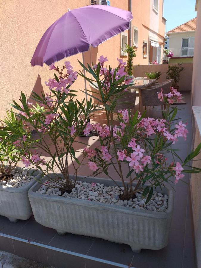 Apartment Yelena Rose West Zadar Exterior foto